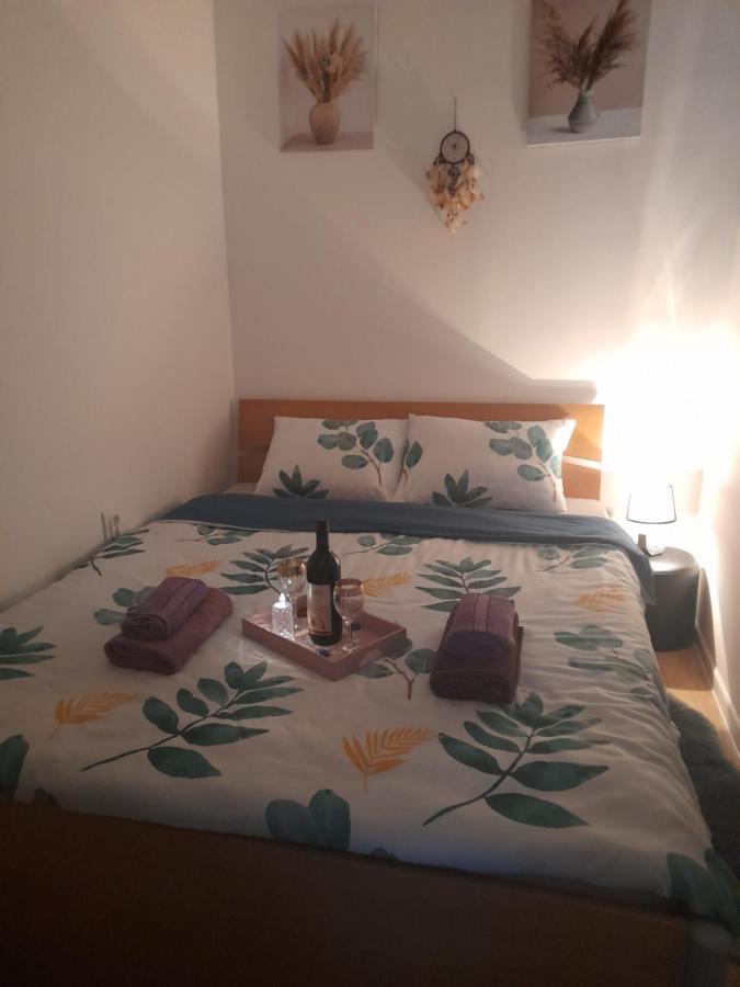 Apartman Lela 弗尔沙茨 外观 照片